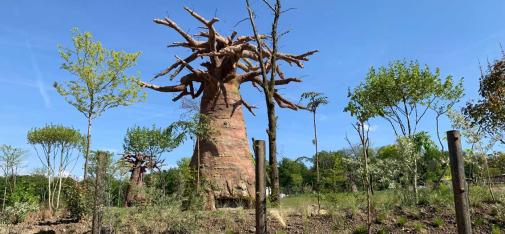 Artificial baobab trees made of Nafufill RM 10