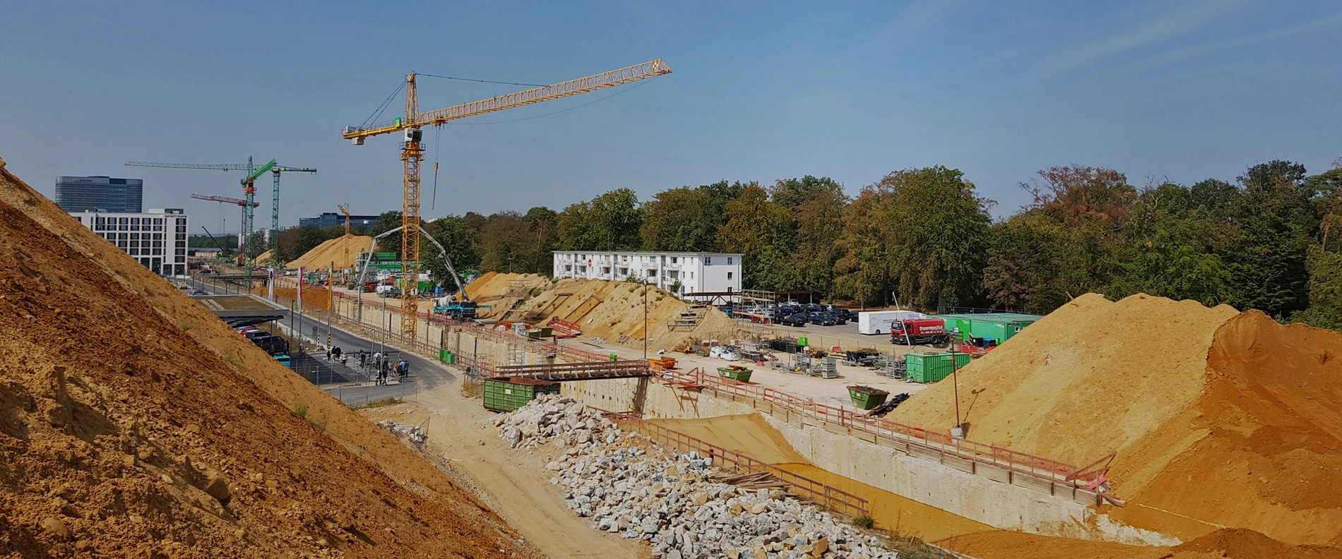 Ortolan sorgt für sicheres Ausschalen