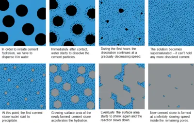 Stages of cement hydration