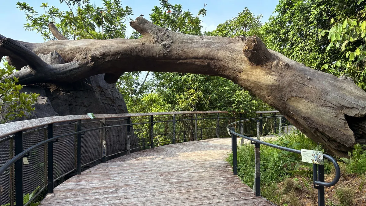 The fallen tree is not real: like the rock supporting it, it was recreated using MC sculpting mortar.