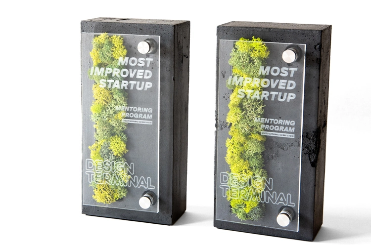 View of the award for the most improved start-up