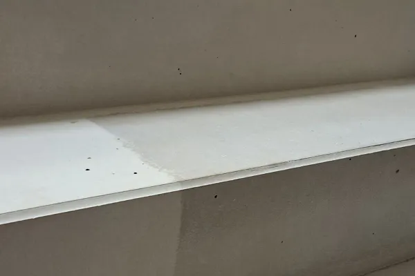 Transparent 1-component protective sealant for mineral substrates